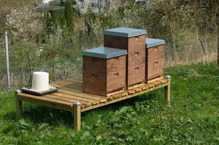 What is the Best Beehive to Buy? Langstroth, Top Bar, or Warre? ODH