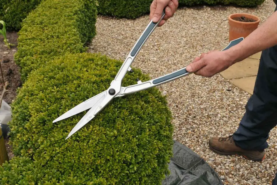 What Do You Called Scissors for Gardening 